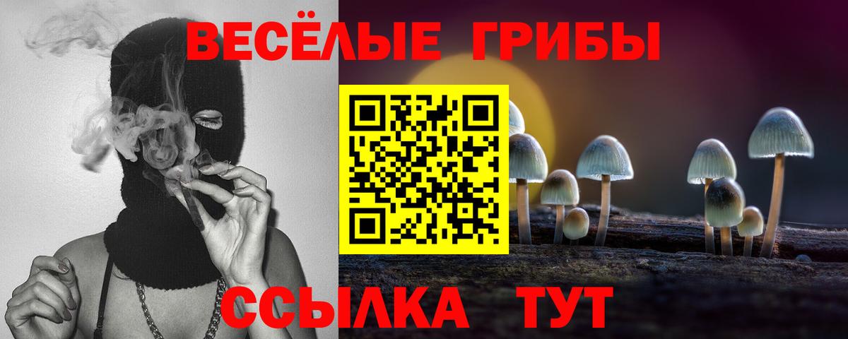 Десногорск  Галлюциногенные грибы Magic Shrooms  Вход с VPN 